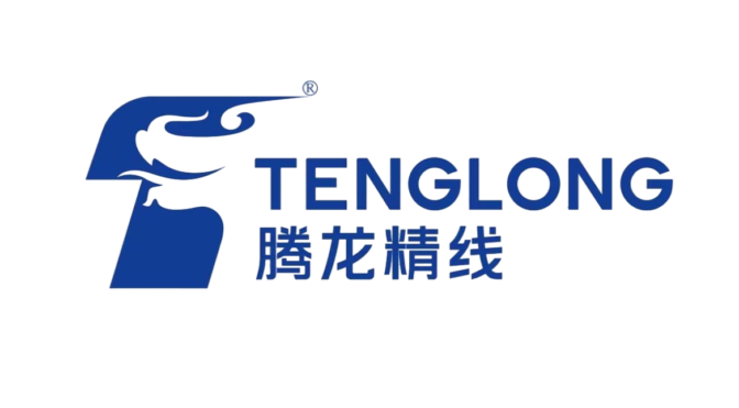 07_Logo_Zhejiang Tenglong Stainless Steel Industry Co., Ltd.